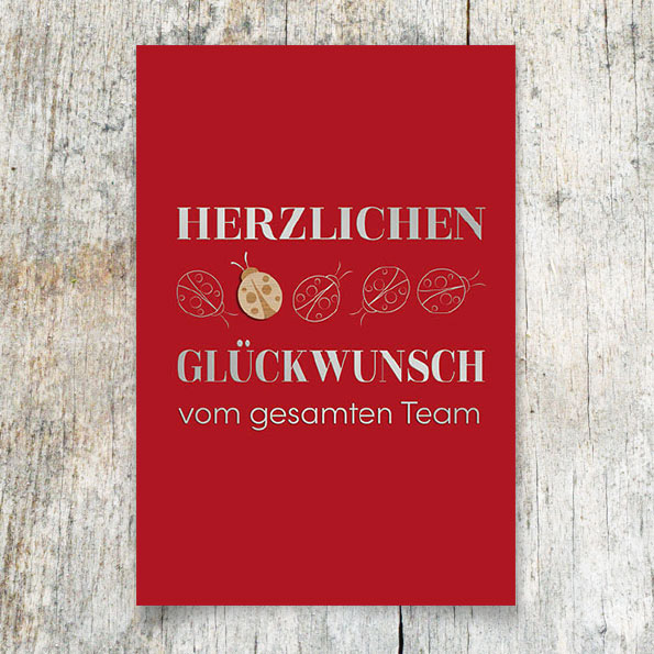 Vergrößerte Abbildung Rote Glückwunschkarte mit Holz-Marienkäfer und silbernen Texten.